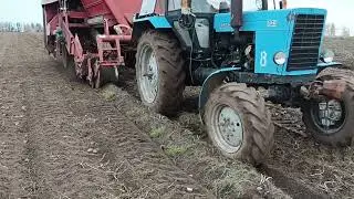 Уборка 2023. Grimme SR 80-40