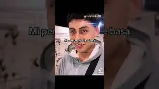 muchas palabras desorientadas asi