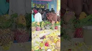 ஸ்ரீ செல்லியம்மன் கோவில் கும்பாபிஷேக பூஜை நடக்கின்றது