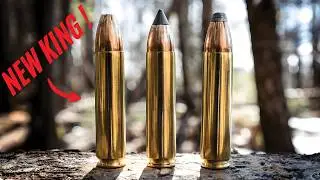 Top 5 New Cartridges Dominating 2025 The New Kings of Hunting Ammo - You Won&rsquo;t Believe #1!