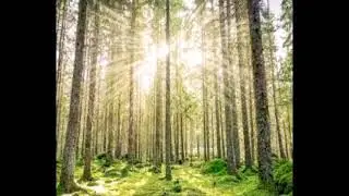 Background Music for Vlogs | Happy | Upbeat | Perfect| NCM