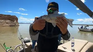 Fishing With Captain Dave