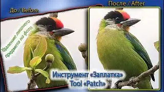 Deleting object using the Tool 