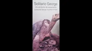 Galapagos Islands Tour .Seven days with G Adventures October 2024