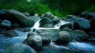 🌊 Clear River Current ASMR Sounds for Deep Sleep, Relaxation & Stress Relief