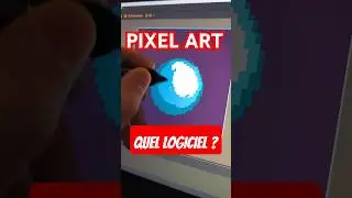 Quel logiciel j'utilise ? On voit &ccedil;a tout de suite🙌 #pixelart #pixel #digitalart #tuto #app #dessin