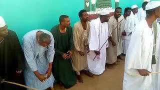 الديامه 2019