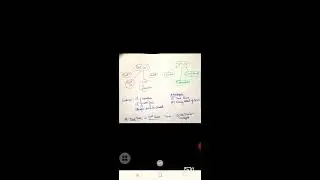 CA july 2020 exam