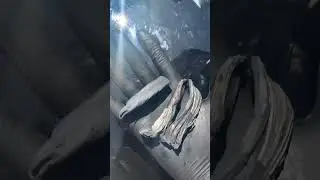 Металлический кальций + соляная кислота 🔥 #наука #эксперимент #химия