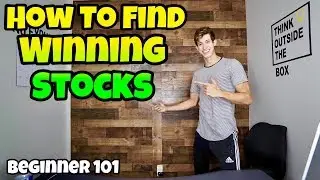 How To Find WINNING Stocks Everyday For Beginners | Step By Step