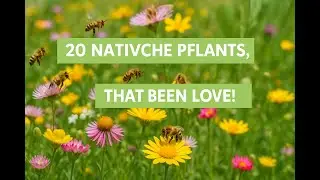 20 bee friendly LOCAL plants &ndash; How to turn your garden into a bee paradise