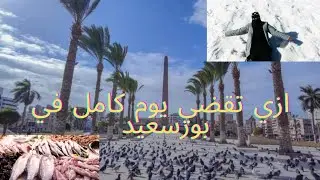فلوج في محافظة بورسعيد 🥰ازي تقضي يوم كامل في بورسعيد