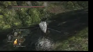 Dark Souls 2 - Quest for the Illusory Ring of the Conqueror - Ng+ without Dying
