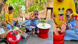 Cooking for monkey Bryan + Icy........003 | #MonkeyCuties #WildlifeMoments #SnackGoals #ViralReels