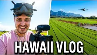 I Shot With Hawai&lsquo;i&rsquo;s Hardest Working Entrepreneurs | Concrete, Turf & Real Hustle