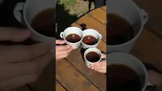 Brewing Bonds: Coffee Connection Magic