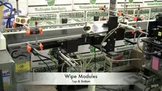 Wrap around label application at Julian Pies