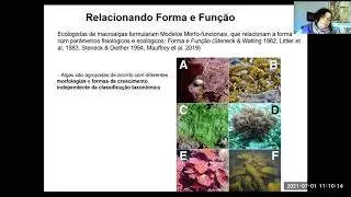 Biologia de Macroalgas / Oceanologia - Forma & Função