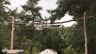 Découverte Nids des Vosges