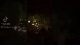 stalker 2 
