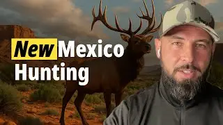No Points, No Safety Net: The Truth About New Mexico Tag Applications