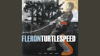 Turtle Speed