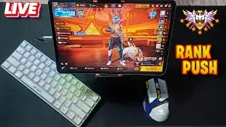 Bunny 77 IS LIVE STREAM with keyboard mouse gameplay