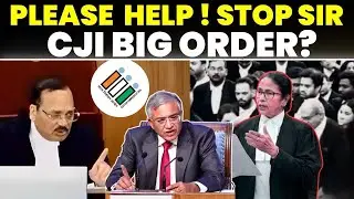 'PLEASE HELP ! STOP SIR 