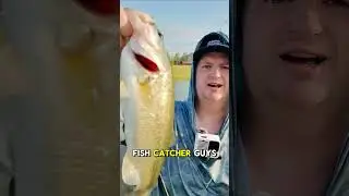 How to rig the GeeCrack Bellows Gill 3.8&rdquo; and catch fish with it! Follow for more bass fishing tips!