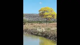 PIP/Leitura de TEXTOS/Descritor23/Quest&otilde;es