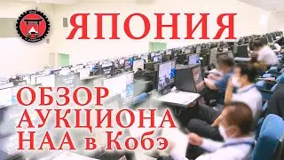 Японский автомобильный аукцион. USS HAA Кобэ. Как купить авто на аукционе? Honda Vezel, Mazda CX-5