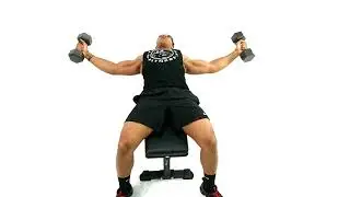 Best Flat Weight Bench on Amazon | Doeplex