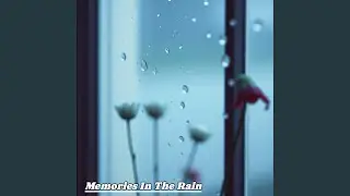 Memories In The Rain