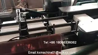Corn Flakes Carton Packing Machine
