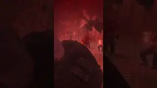 Never Trust your teammates calls