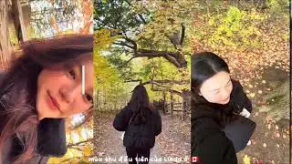 M&ugrave;a thu đầu ti&ecirc;n tại Canada 🍁🇨🇦✨ Dundas Peak đẹp như thế n&agrave;oo