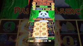 La slot Dragon Link paga con una scommessa di $ 12,50 | Recensione di Carnival Glory Casino