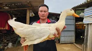 Ngày thường của vợ chồng/Anh 1985 Vlogs