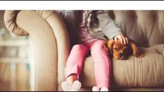 Couch cleaning Melbourne