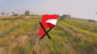 FlightOne H7  | FPV freestyle