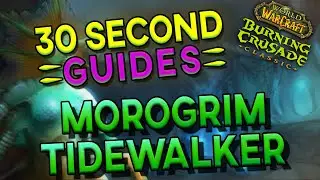 Morogrim Tidewalker - Serpentshrine Cavern - 30 Second Guides