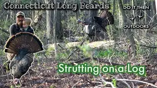 Connecticut Turkey Hunting | The Perfect Morning | Beautiful Footage