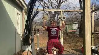 Winter cut day 11: Arms and shoulders