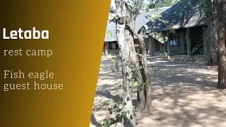 Fish eagle guest house - Letaba rest camp - Kruger national park