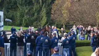 American Pharoah arrives at Coolmore America