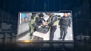Explosive Ordnance Disposal Unit