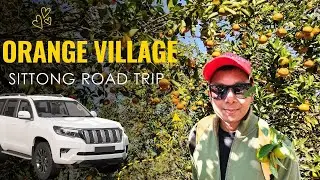 Sittong Orange Village Road Trip – A Magical Experience || Best Offbeat Destination Near Darjeeling