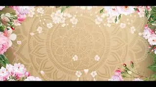 Title Video background // without text