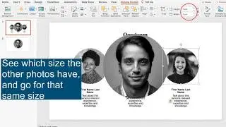 How to crop a picture into a circle in PowerPoint