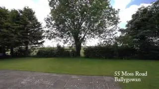 55 Moss Road, Ballygowan